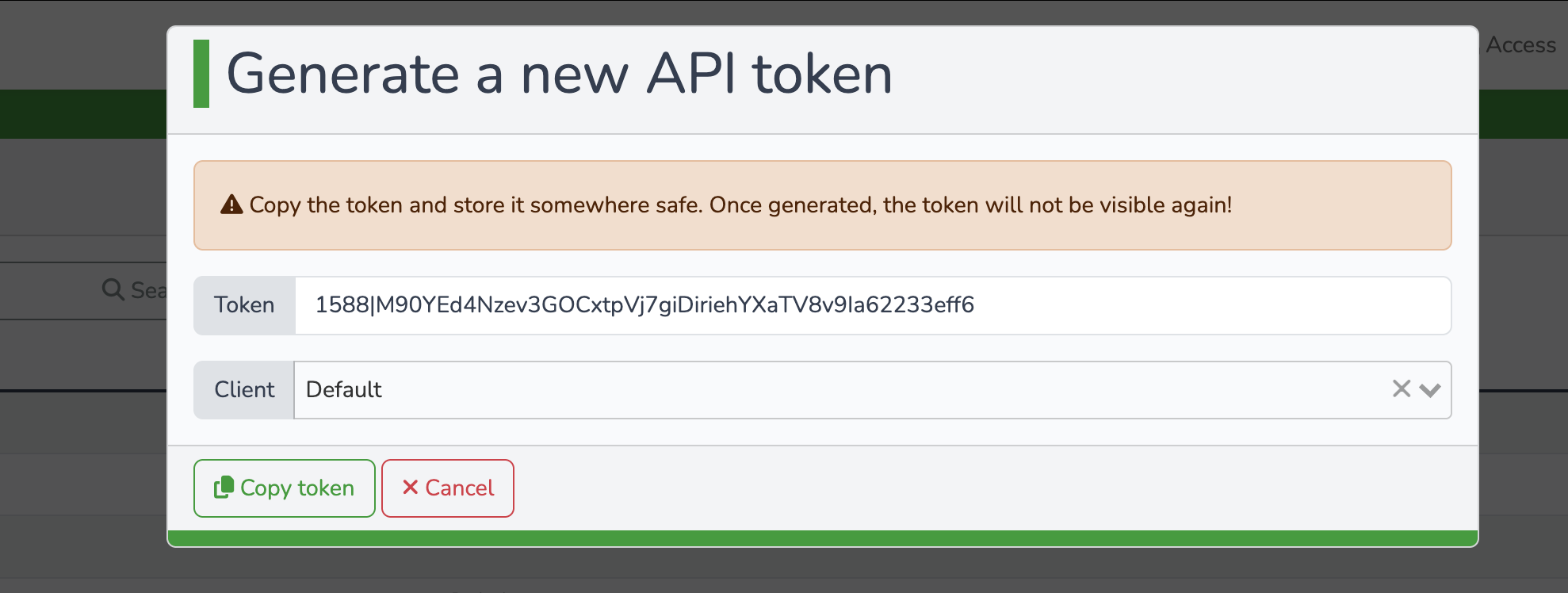 Generated API token modal